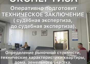 Экспертиза