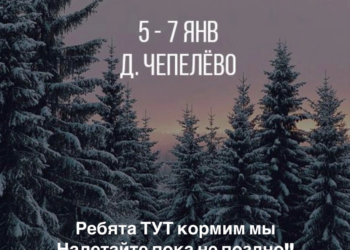 ‼️🎄Зимний КЕМП для детей +8‼️ Готовим МЫ‼️