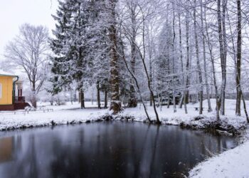 А в далёком 1896 году в Мелихово был снег ❄️