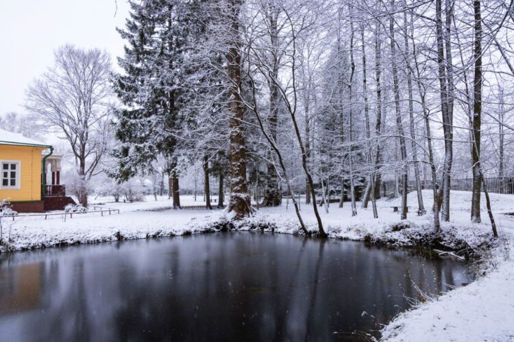 А в далёком 1896 году в Мелихово был снег ❄️