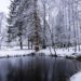 А в далёком 1896 году в Мелихово был снег ❄️