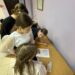 Сегодня в ДК «Меридиан» ГО Чехов, прошла игровая программа «Сказочный кавардак». Программа была, наполненная множеством веселых конкурсов и игр, не оставила равнодушным ни одного участника.