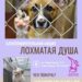 благотворительная зооакция “Лохматая Душа”