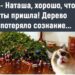 Все уже нарядили елки?