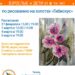 МАСТЕР-КЛАСС «Гибискус»🌺