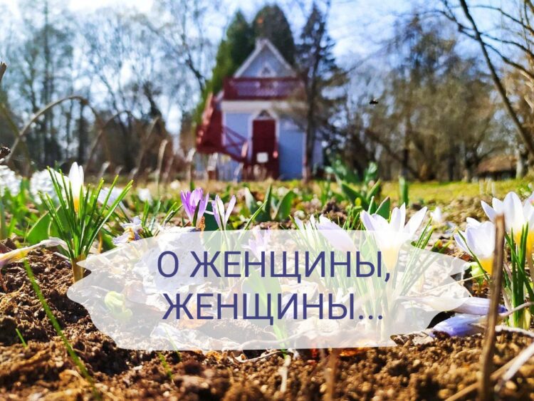 Праздничная программа к 8 марта в Мелихове