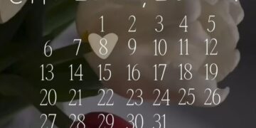 Весь день поздравления для прекрасных дам, девушек, женщин❣️
